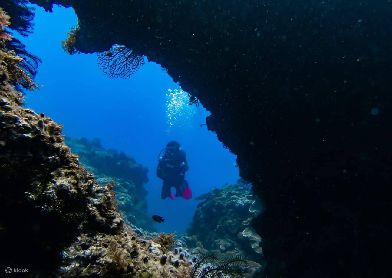Menyelam di Kenting, Pingtung